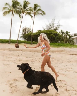 Nani Swimwear One Pieces|Harbor One Piece